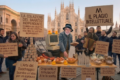 STOP AL PLAGIO INTELLETTULE